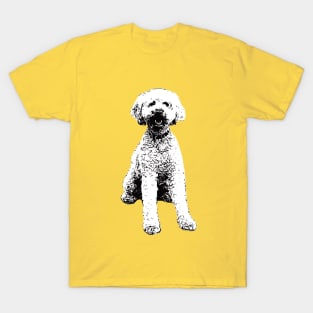 Labradoodle sweatshirts online